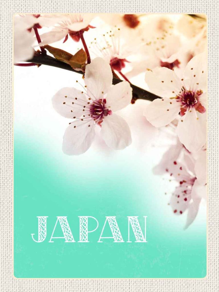 vianmo Holzschild 40x30 cm Japan Asien Blume weiß rosa Natur Bildmotiv Reisemotiv Abenteuer Reisen