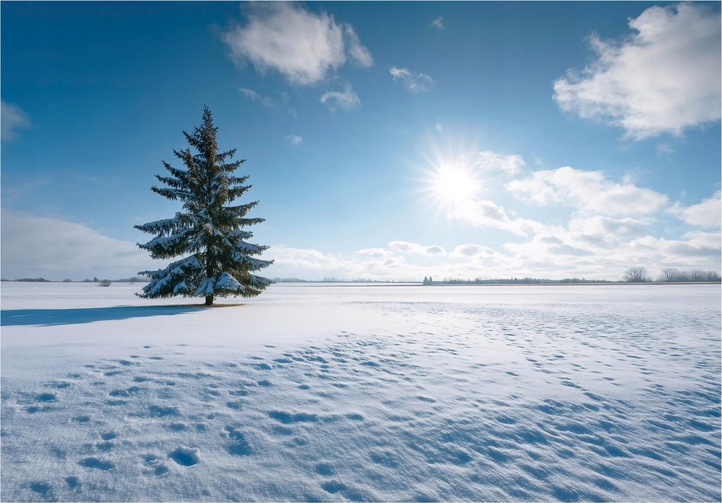 Fototapete Feld Natur Schnee - 350x250 cm - Vliestapete Wohnzimmer Schlafzimmer - Vlies Fototapete Blau - 16289VX7