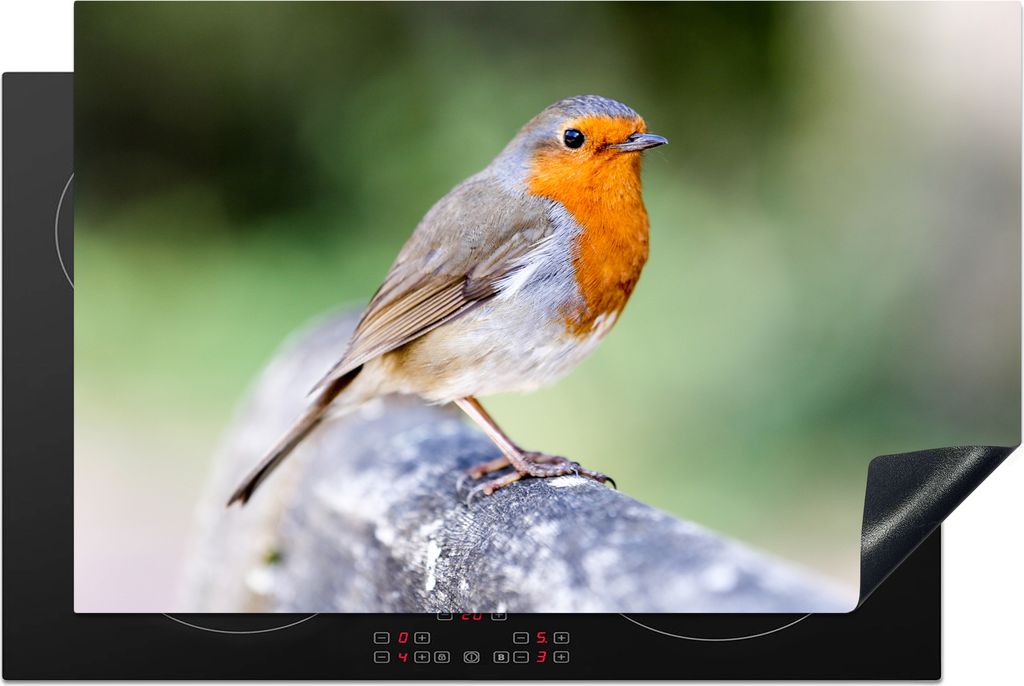 KitchenYeah Herdabdeckplatte Rotkehlchen - Ast - Holz , 80x52cm, Küche Deko, Glaskeramikfeld Herdabdeckung, Abdeckplatte fùr Kochfeld