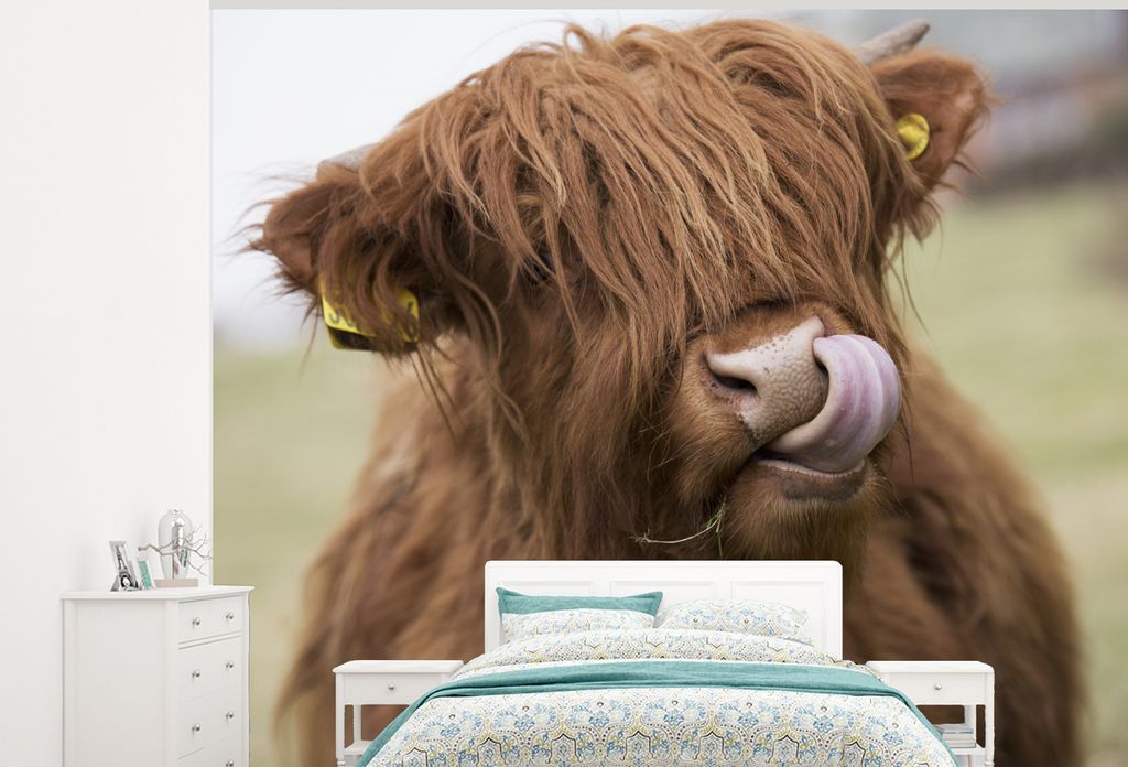 MuchoWow Fototapete für Wohnzimmer oder Schlafzimmer Wandtapete Vinyl Motivtapete Schottischer Highlander - Braun - Tiere - 275x220 cm - Gemustert