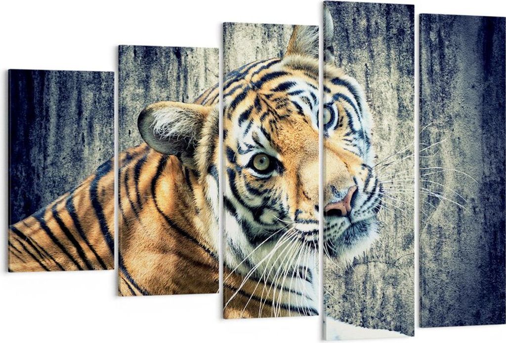 Bild auf Leinwand - Leinwandbild - Indien stein tiger wild - 150x100cm - Wand Bild - Wanddeko - Leinwanddruck - Bilder - Kunstdruck - Wanddekoratio...