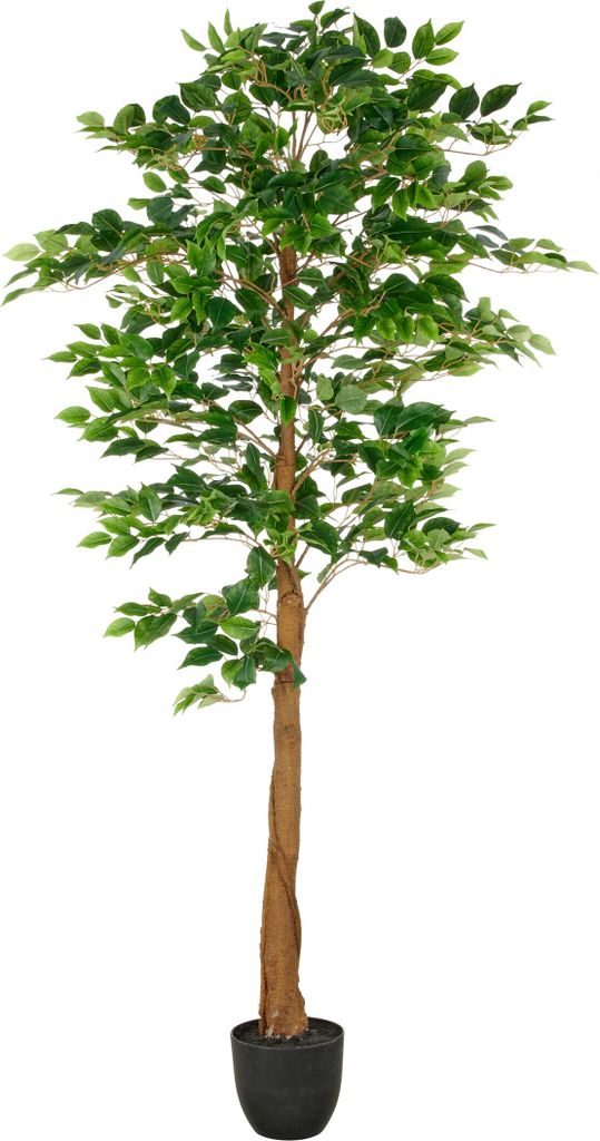 Kunstpflanze Ficus Benjamina H 180 cm