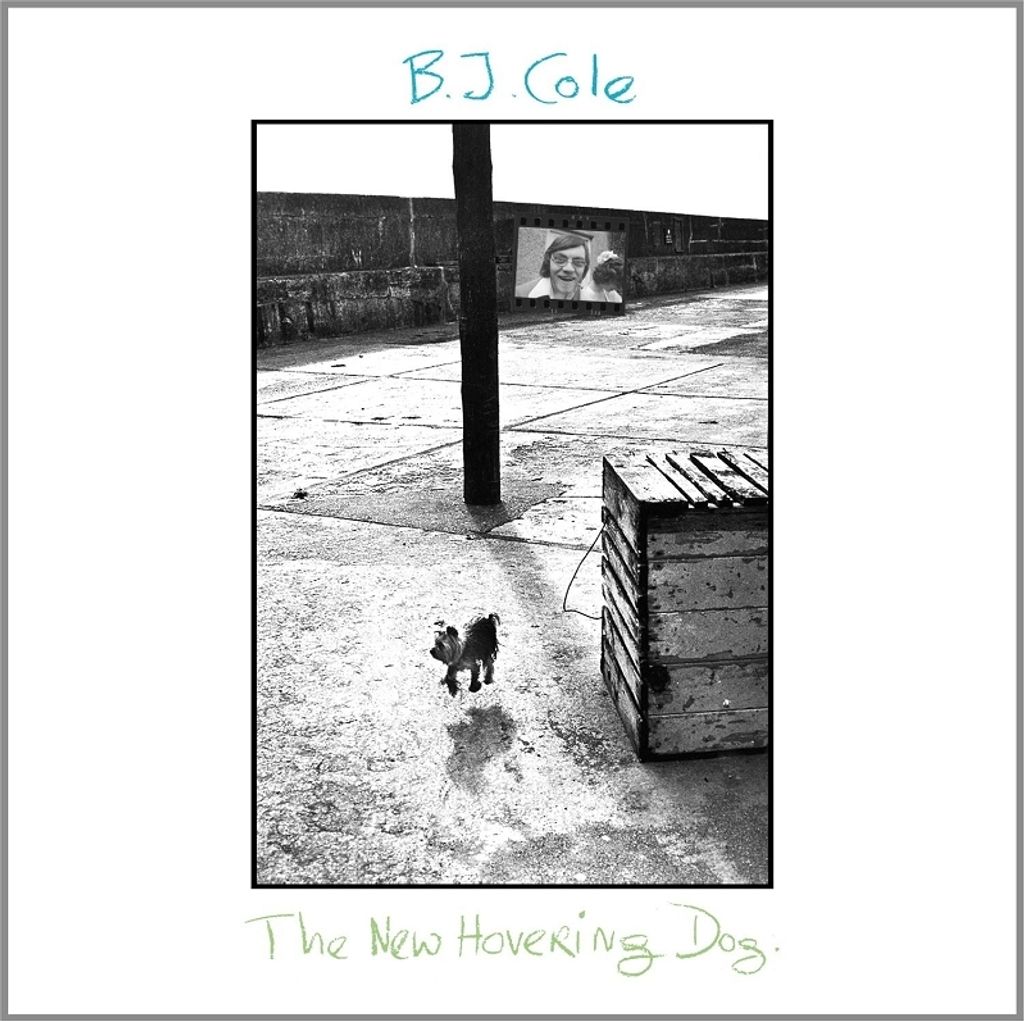 Cole,BJ-The New Hovering Dog