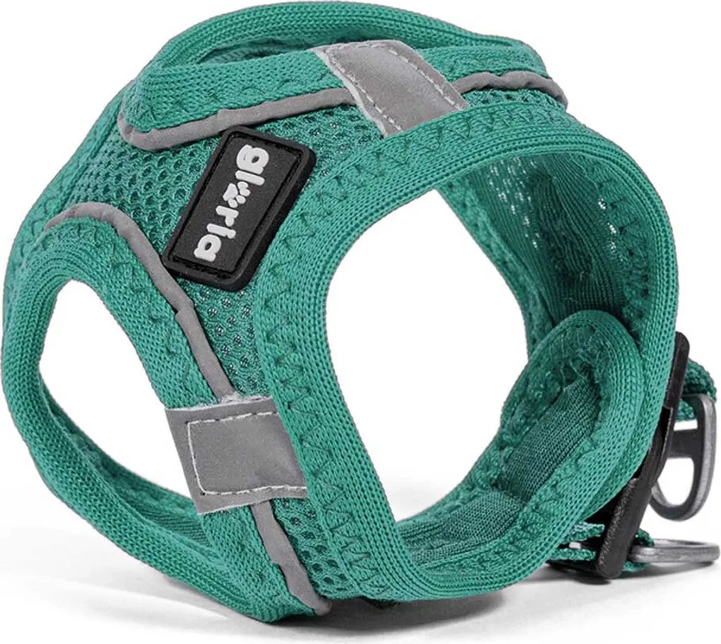 Pettorina Trekking Cane Gloria Air Mesh Star L | Leggera e Traspirante