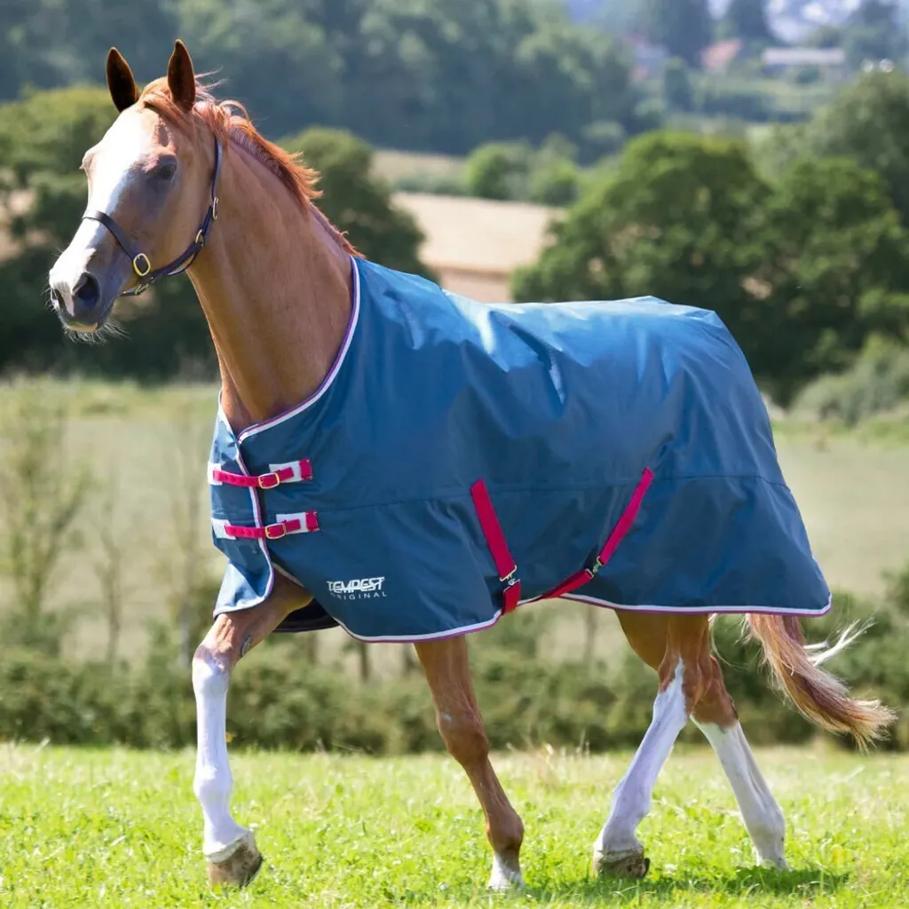Couverture de paddock Tempest Original Lite 122cm pour petit cheval
