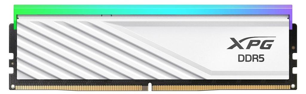 A single RAM module with RGB lighting.