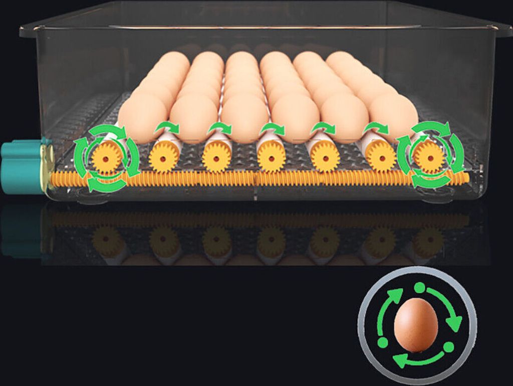 Inkubátor Plně automatický kuřecí inkubátor Farmářský Obrázek produktu 5