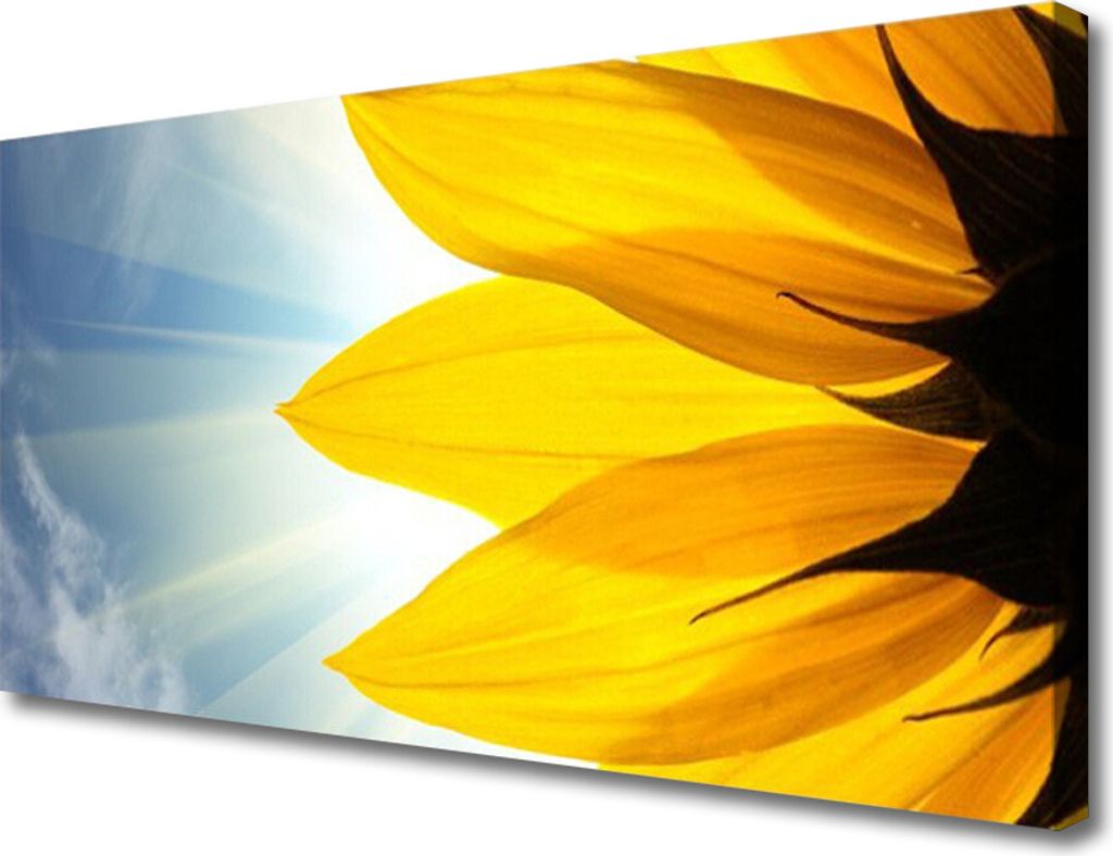Tulup Leinwand-Bilder 100x50 Wandbild Canvas Kunstdruck Blütenblätter Pflanzen