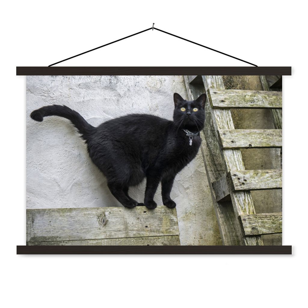 MuchoWow Textilposter Katze - Schwarz - Palette - Mädchen - Jungen - Kind 150x100 cm mit schwarzem Rahmen - Schlafzimmer