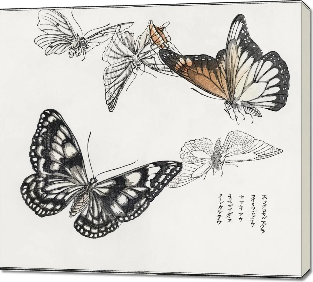 Stampa Artistica Farfalle Morimoto Toko - Quadro Vintage Giapponese 100x90
