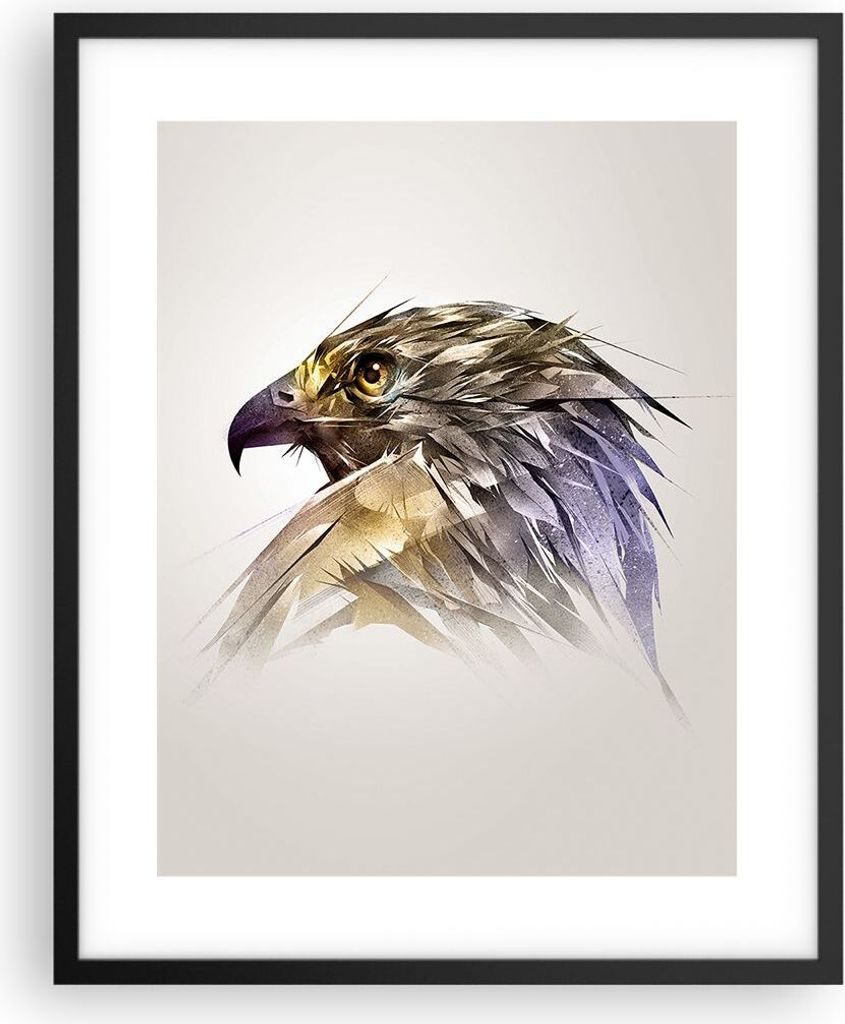 Gerahmtes Poster - Schwarzer Rahmen - Adler Vogel Feder - 40x50 cm - Wand Bild - Wanddeko - Wandbilder - Kunstposter - Wandposter - Bilderrahmen - ...