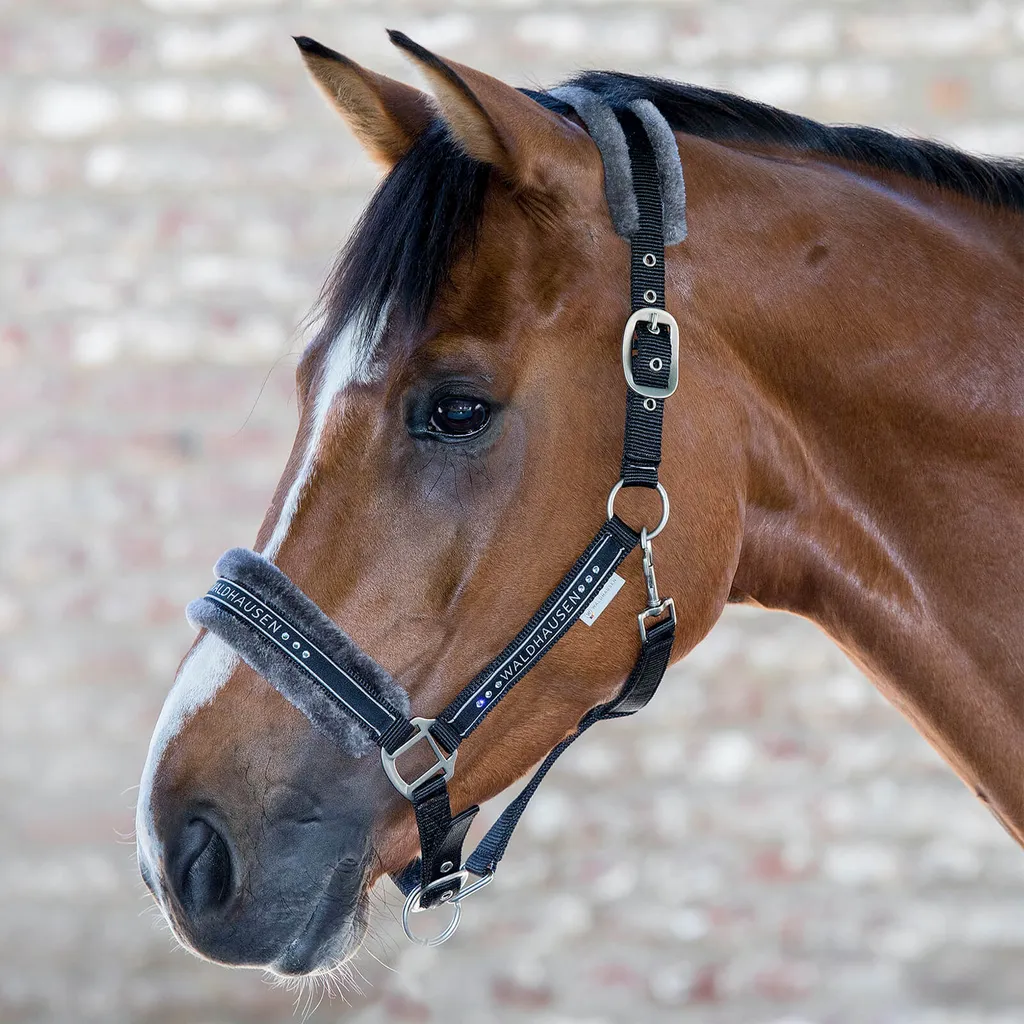 Waldhausen Elegante Halter Argento Pieno: Eleganza Argento per Cavalli - 3