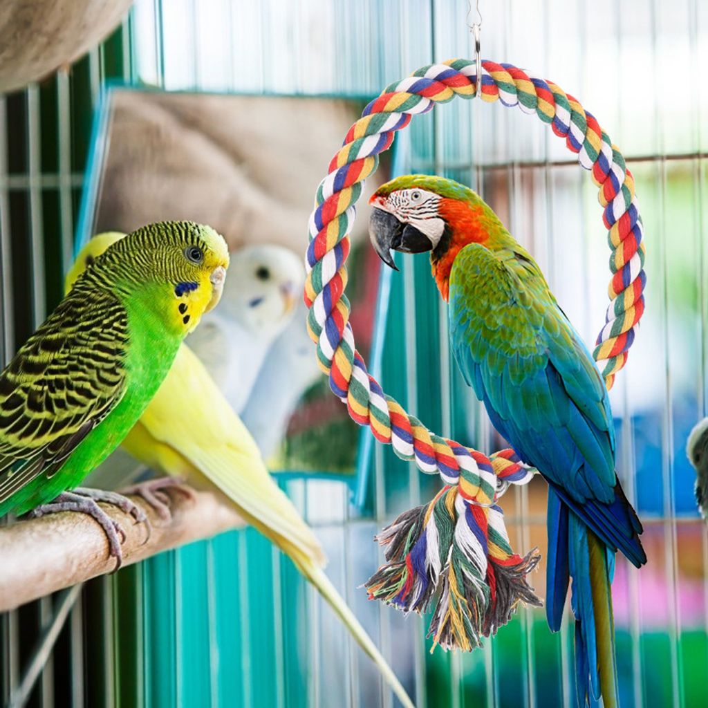 Vogel Sitzstange,Vogel Baumwollseil Schaukel,Vogel klettern Ring,Vogel Baumwollseil Ring,Vogel Spielzeug