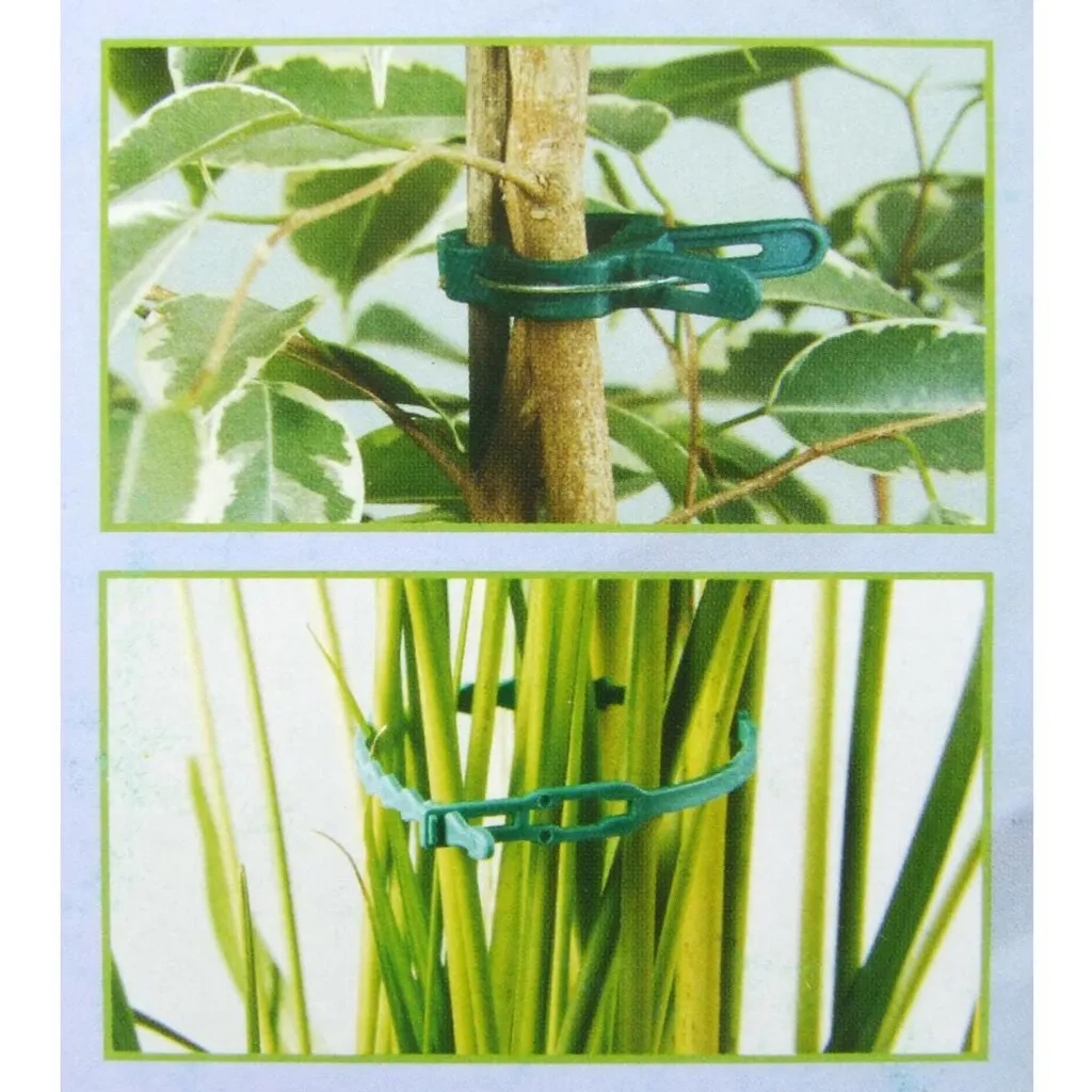 Clips de support pour plantes grimpantes pour éviter les tiges brisées