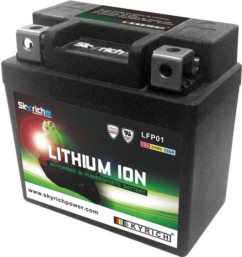 Akumulator litowo-jonowy SKYRICH - LFP01 Zdjęcie produktu 