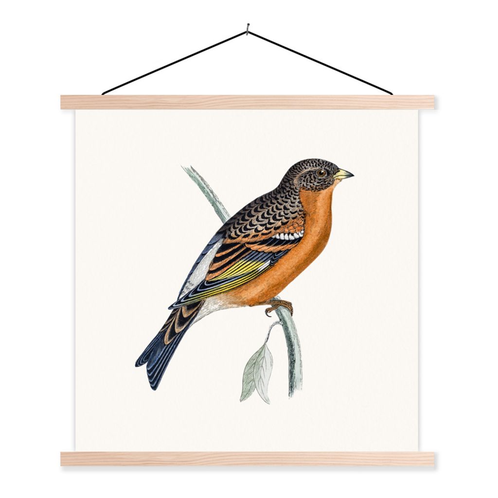 MuchoWow Textilposter Antiker Vogeldruck handgezeichnet 120x120 cm mit holzfarbenen Rahmen - Textil-Poster