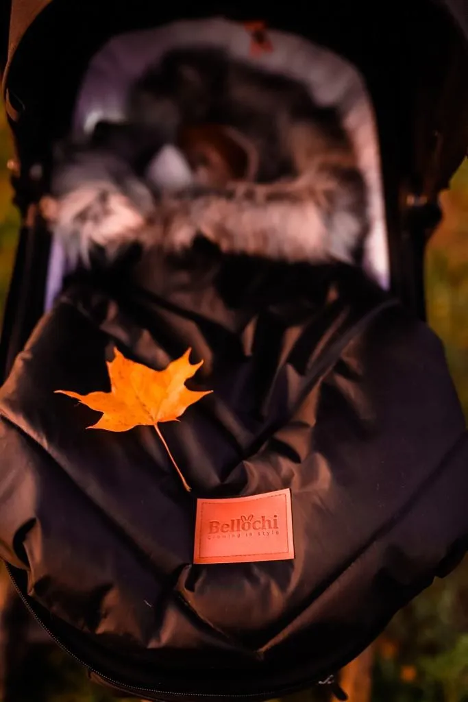 Chancelière universelle poussette hiver imperméable avec fourrure Silver - 8