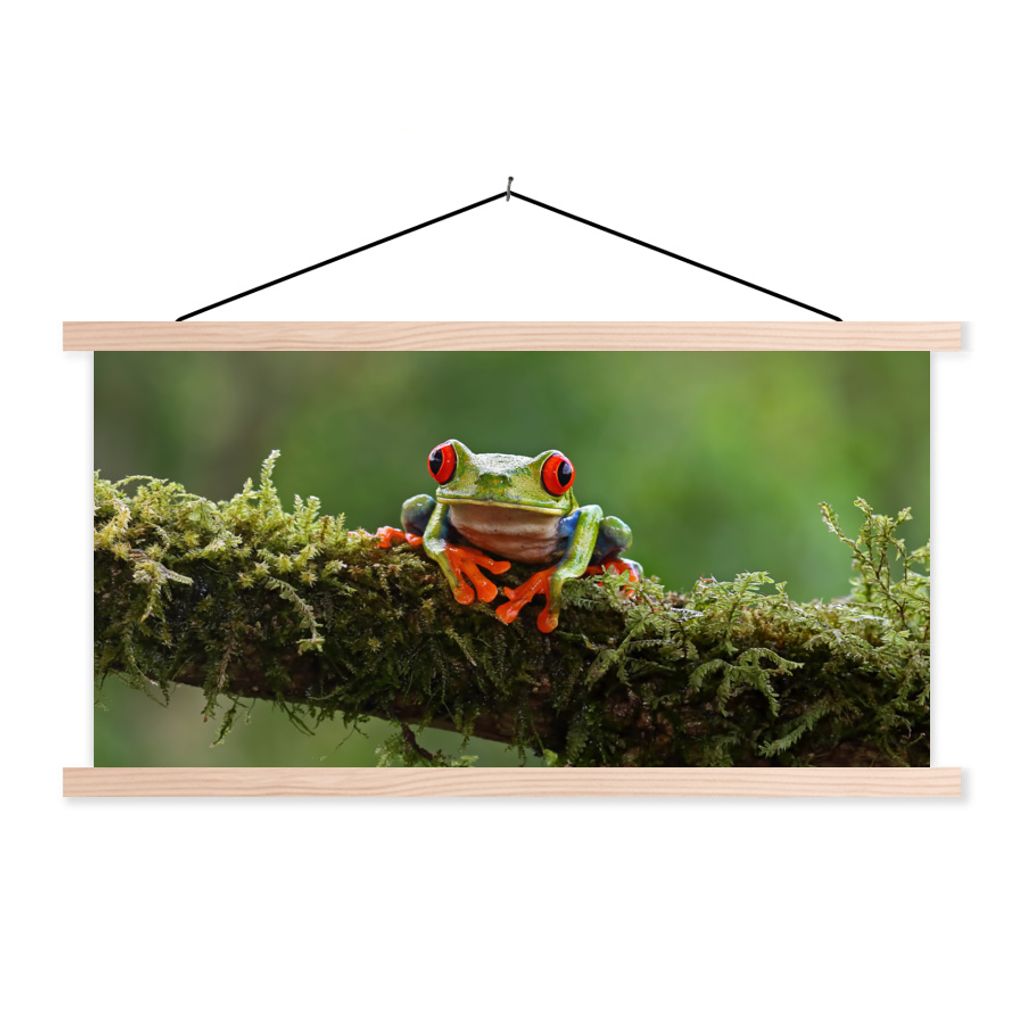 MuchoWow Textilposter Rotäugiger Quecksilberfrosch auf bewachsenem Ast 120x60 cm mit holzfarbenen Rahmen - Klemmleiste