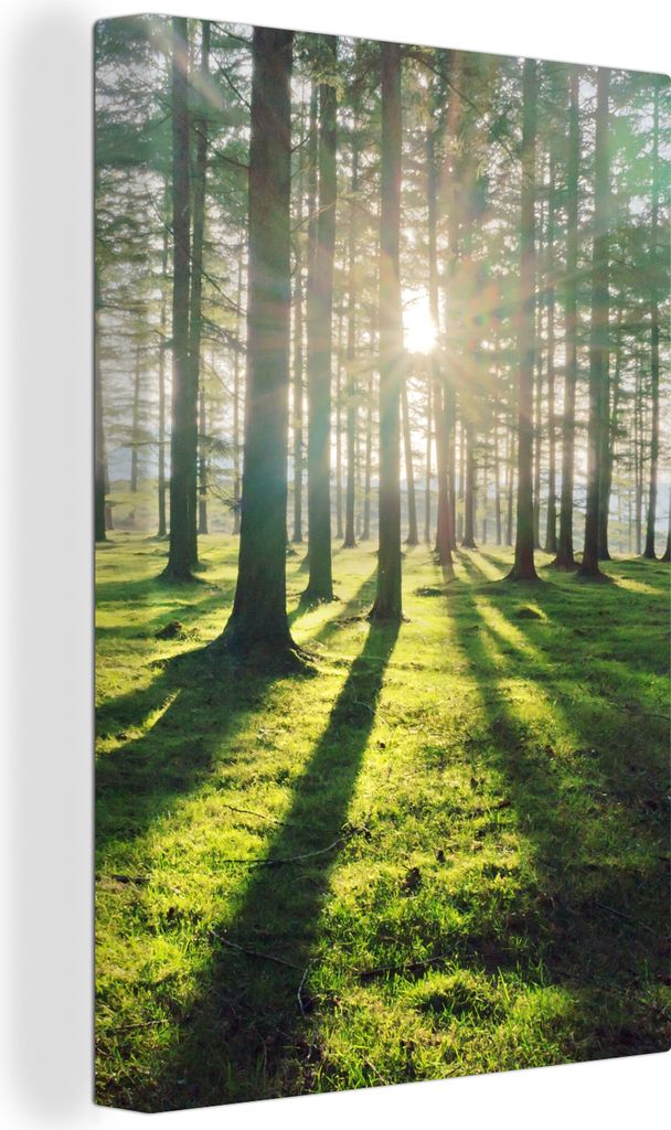 MuchoWow - Leinwandbilder - Bäume - Natur - Wald, Wandbild, Wanddeko Bilder Wohnzimmer, 80x120 cm