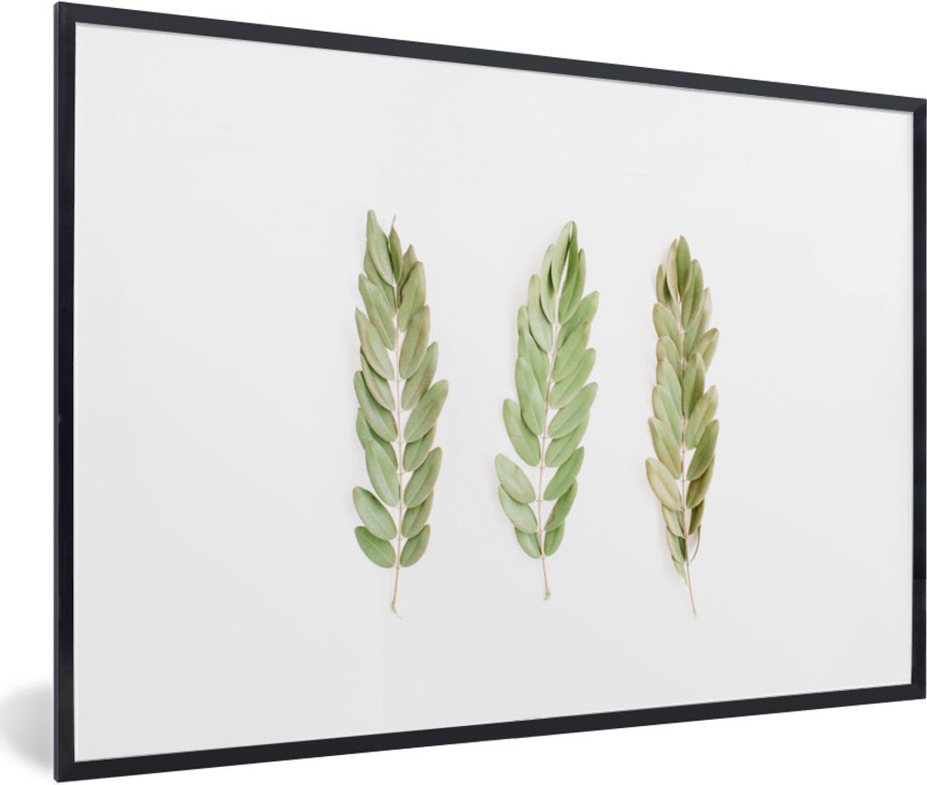 MuchoWow Gerahmtes Poster Tropisch - Blatt - Weiß 60x40 cm - Poster mit Schwarzem Bilderrahmen Wandposter Rahmen Foto Bilder - Printing - Wandde...