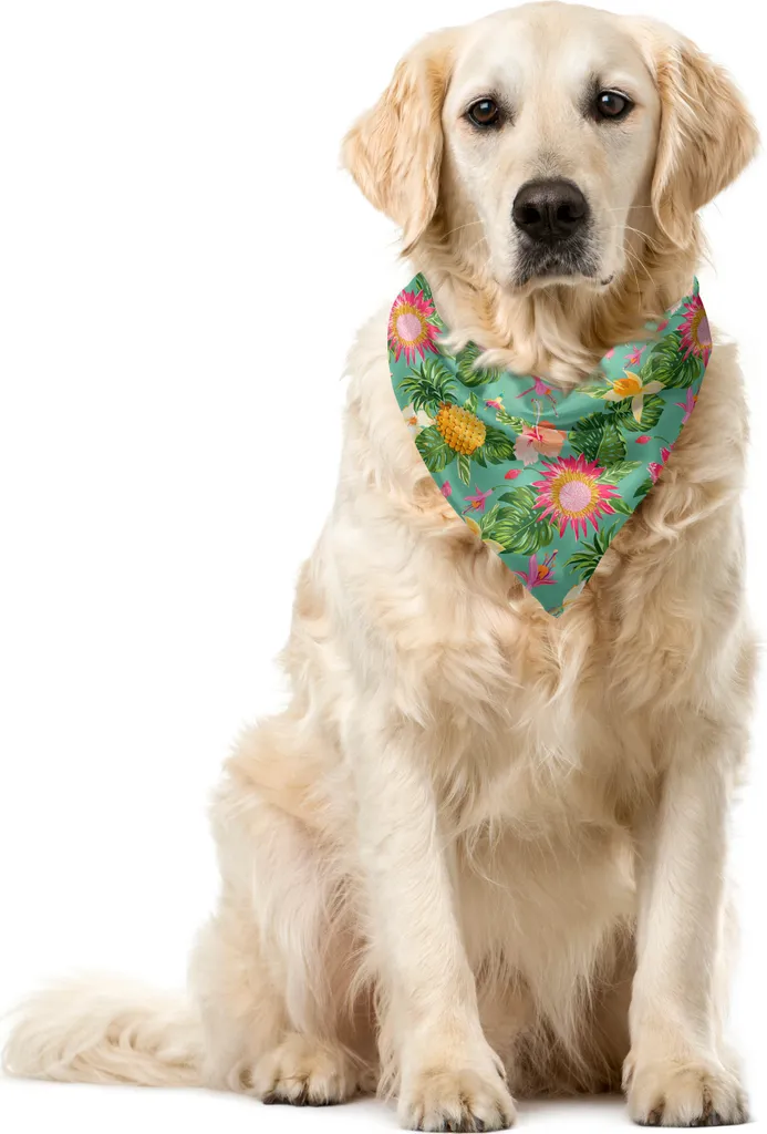 Accessorio Pet Chic: Bandana Hibiscus ABAKUHAUS 55cm | Stile Tropicale