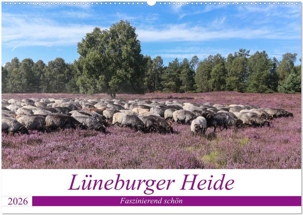 Lüneburger Heide - Faszinierend schön (Wandkalender 2026 DIN A2 quer), CALVENDO Monatskalender