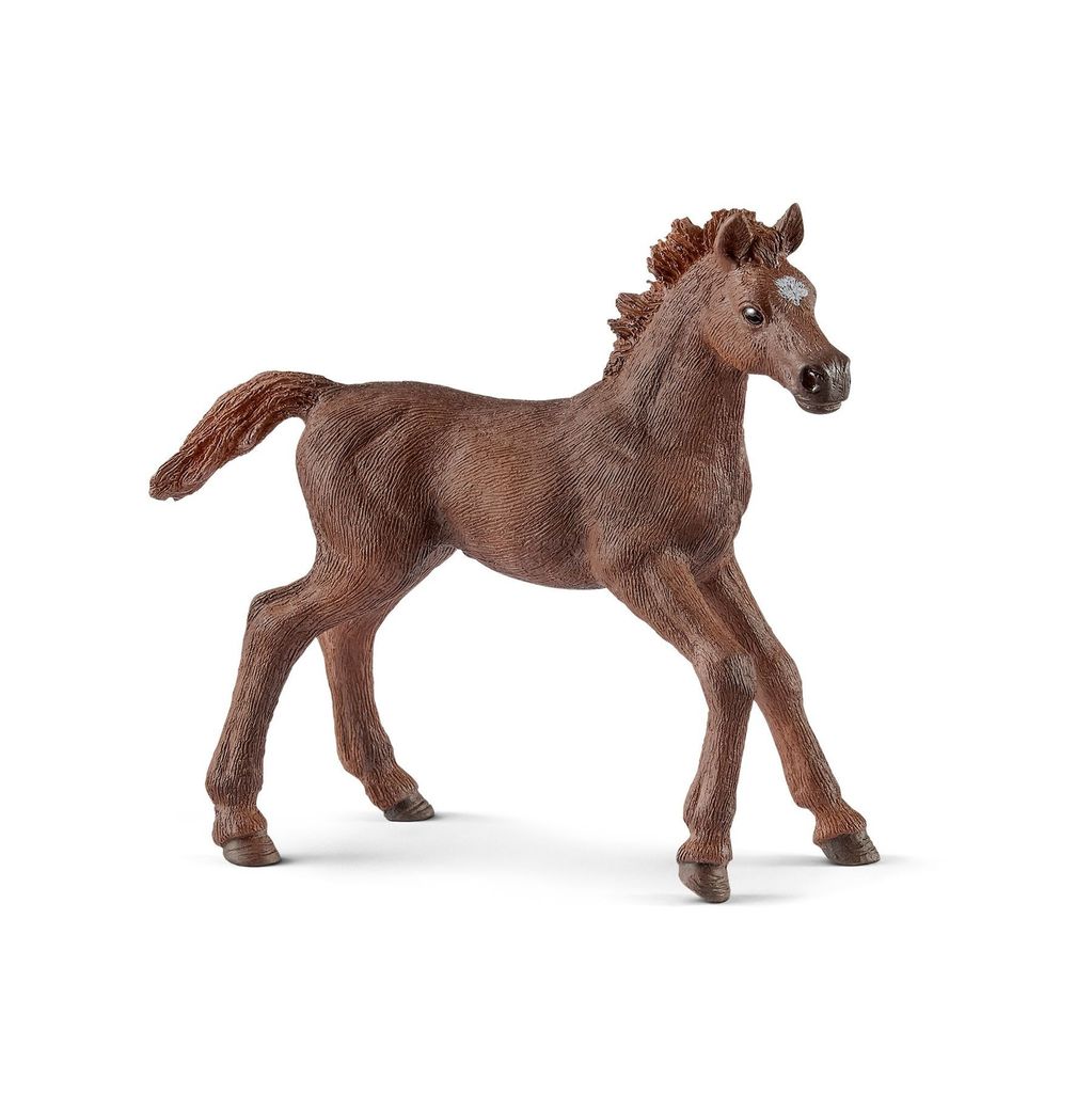 schleich WILD LIFE Englisch Vollblut Fohlen, Mehrfarbig, 1 Stück(e)