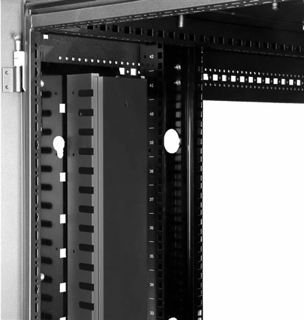 StarTech.com Classeur de câbles vertical avec Finger Duct pour rack IT - 2