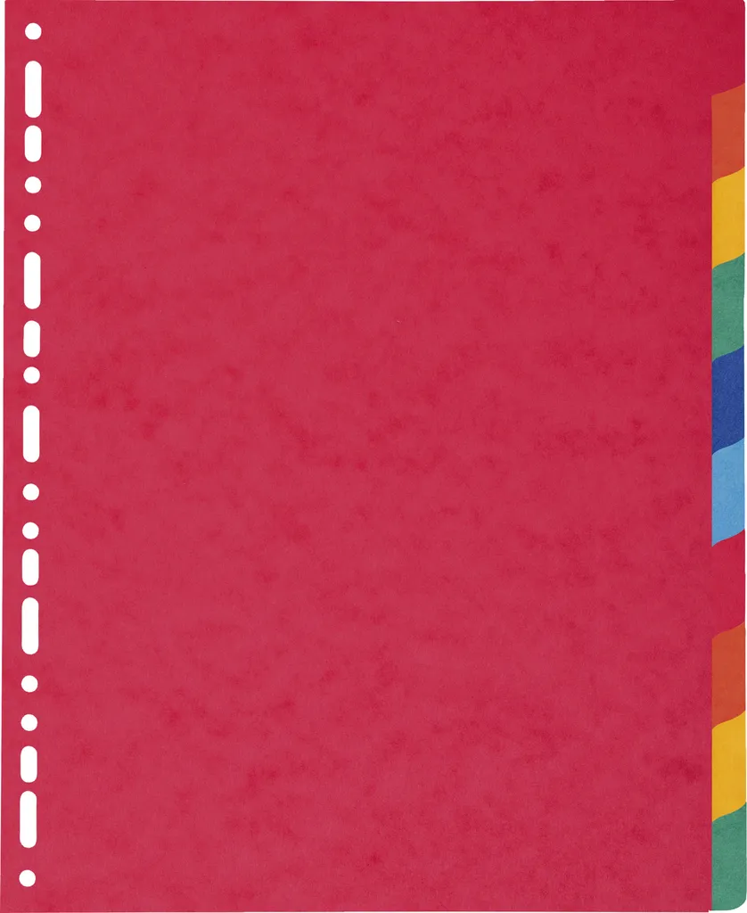 10 Intercalaires Souples Exacompta 2410E en Carte Véritable Multicolore
