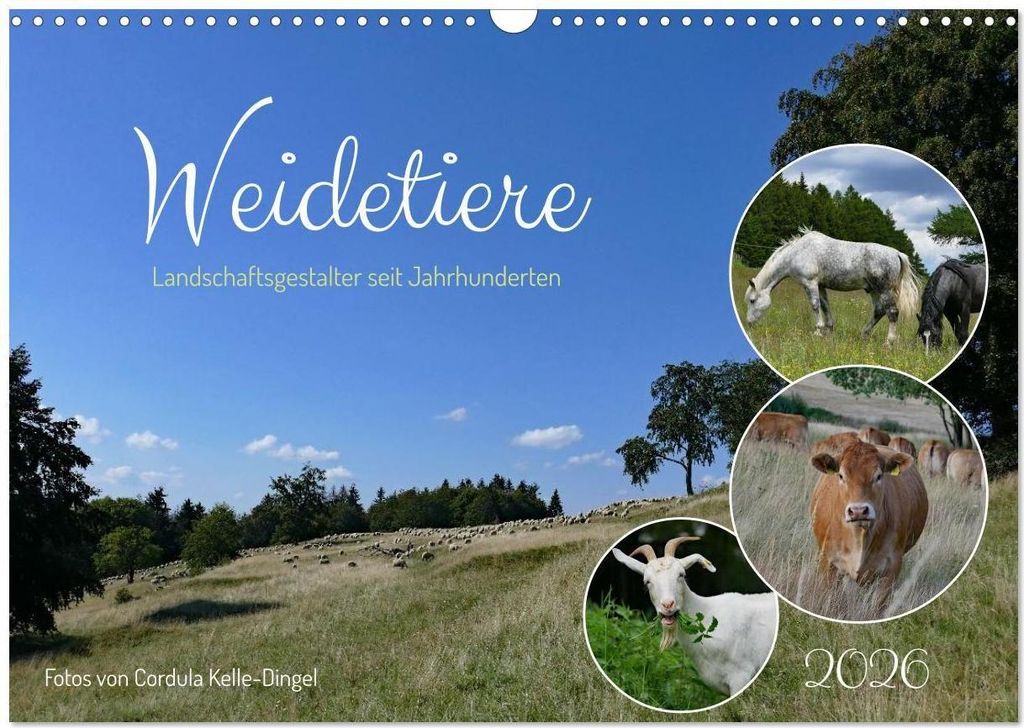 Weidetiere - Landschaftsgestalter seit Jahrhunderten (Wandkalender 2026 DIN A3 quer), CALVENDO Monatskalender
