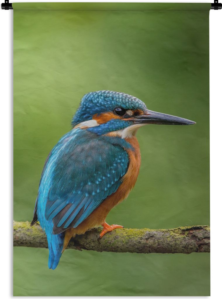 MuchoWow Wandteppich Wandbehang Eisvogel - Zweig - Moos - Vogel - Grün 90x135 cm Tapisserie Dekoration Wandtuch - Baumwolle - Wandskulptur