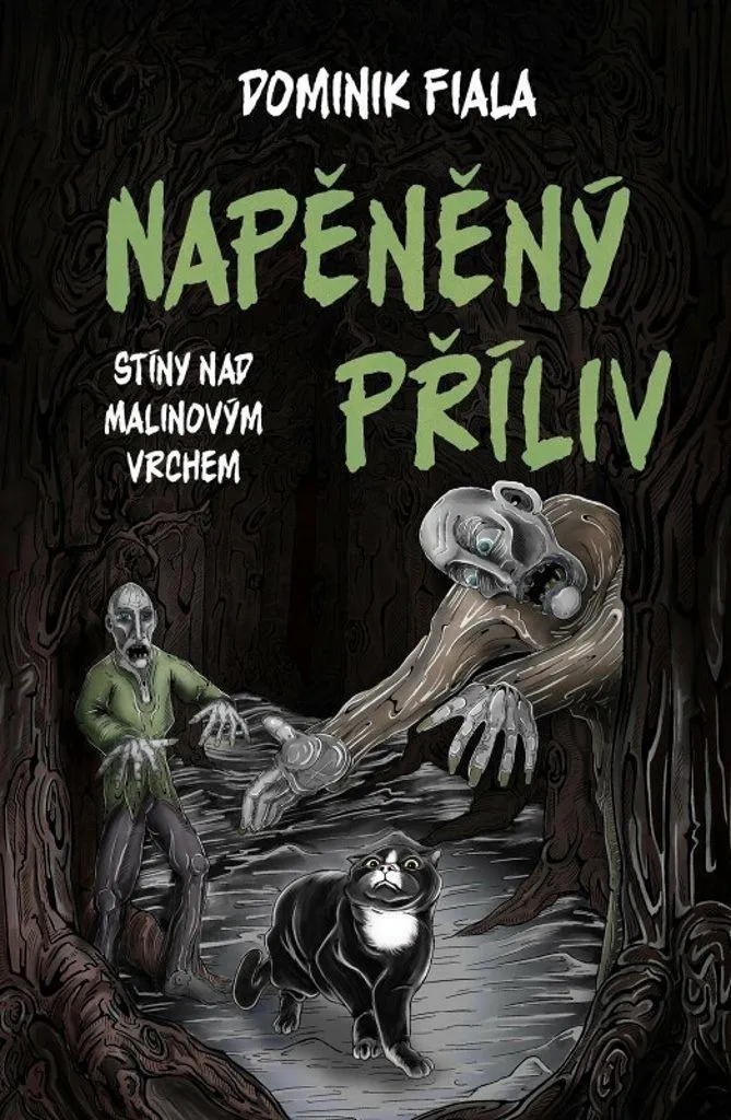 Roman Jeunesse Napěněný příliv par Dominik Fiala - Littérature Fantasy