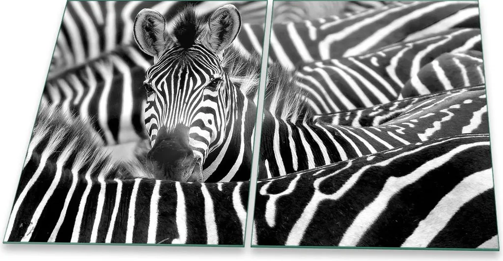 Piastra Copri Piano Cottura 2 Pezzi 2x40x52 cm Animali Nero Induzione