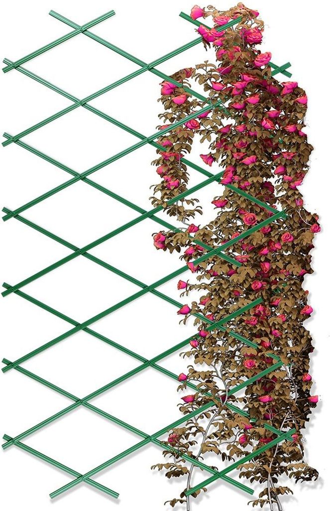 Rete verde Progarden (150 x 55 cm) Immagine del prodotto 