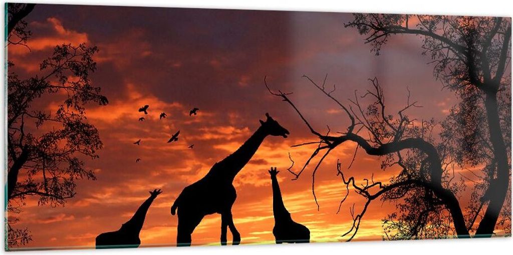 Bilder auf glas - Giraffe Afrika Sonne Safari - 120x50cm - Glasbilder - Wandbilder - Kunstdruck - zum Aufhängen bereit - Wanddekoration aus Glas -...