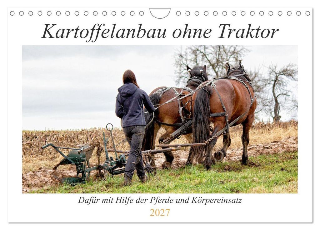 Kartoffelanbau ohne Traktor (Wandkalender 2027 DIN A4 quer), CALVENDO Monatskalender