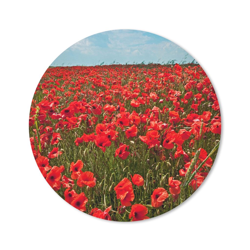 MuchoWow Mauspad Mousepad Eine Wiese voller Mohnblumen 40x40 cm - Mousepads - Maus Mat - Pad - Mausunterlage - Schreibtisch Accessoires