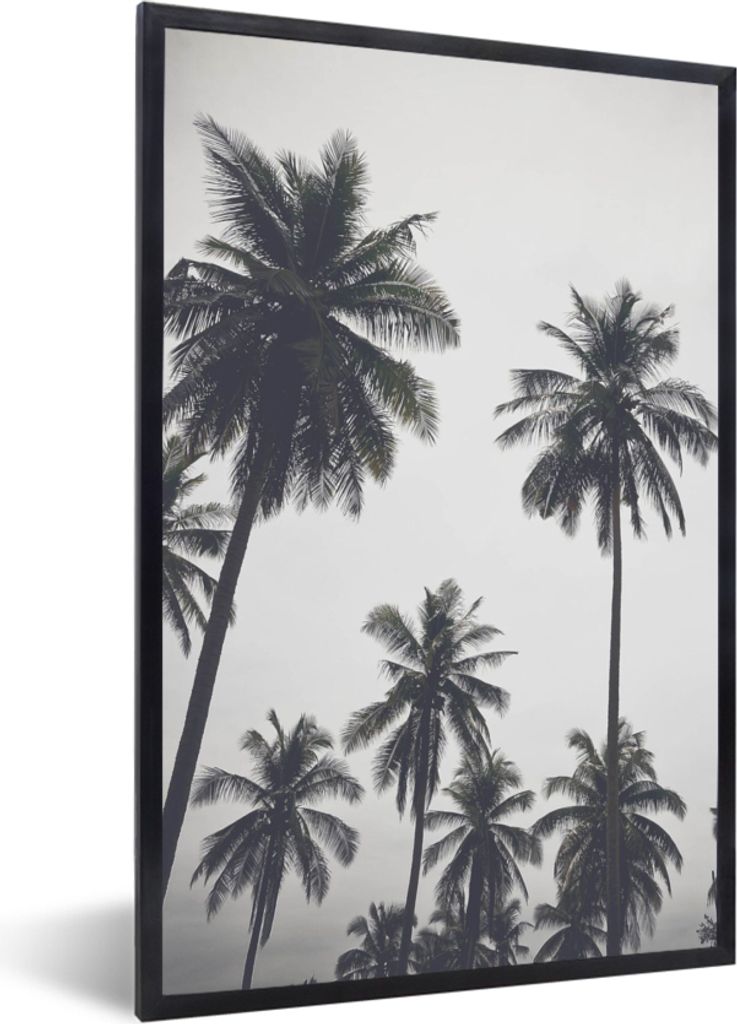 MuchoWow Gerahmtes Poster Palme - Tropisch - Natur 40x60 cm - Poster mit Schwarzem Bilderrahmen Wandposter Rahmen Foto Bilder - Papierdruck - Wan...