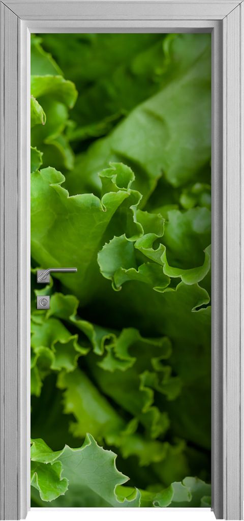 Tür Selbstklebende 80x210 cm Türfolie Türtapete Klebefolie - Kopfsalat grün Salat
