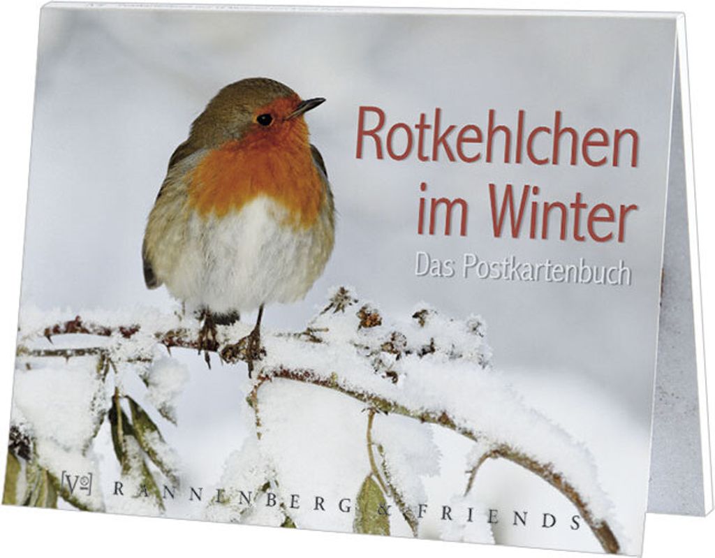 Postkartenbuch Rotkehlchen im Winter Postkartenbücher Ansichtskarte Postkarte Tier