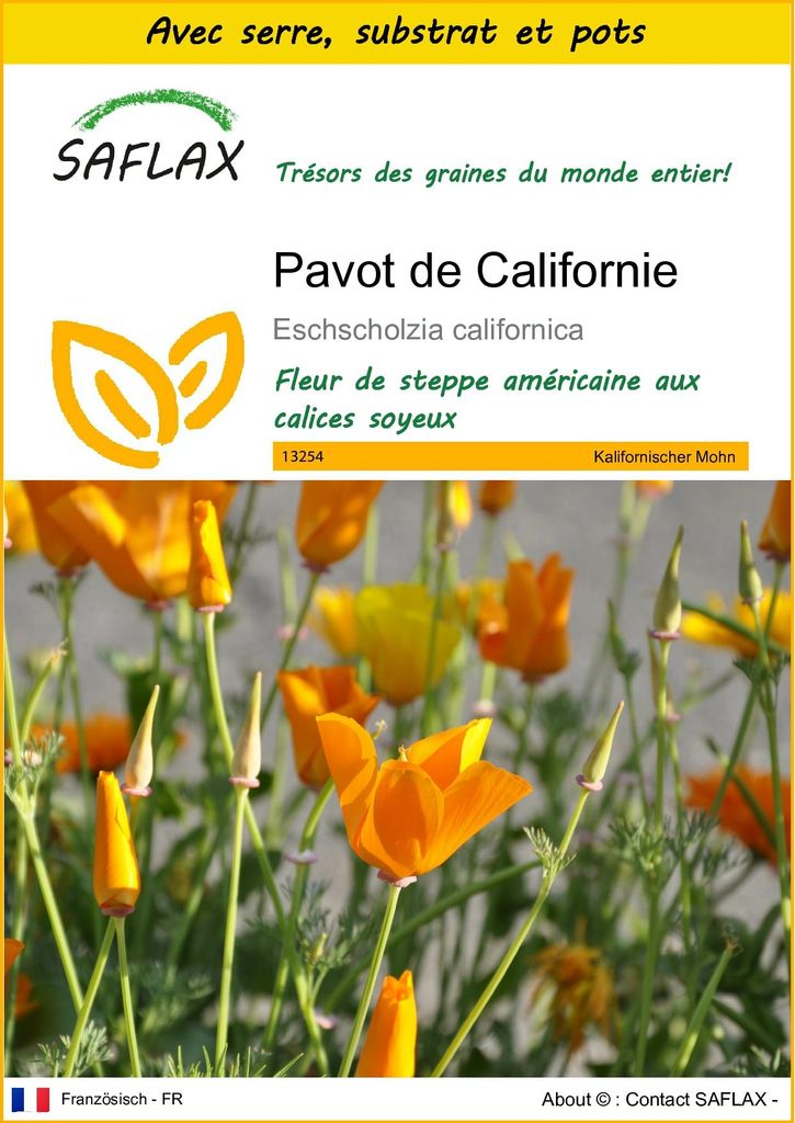 SAFLAX Ensemble de culture - Pavot de Californie - 1500 Image du produit 