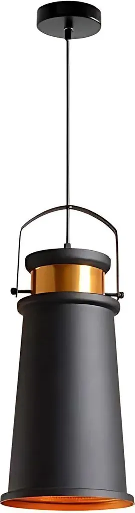 Lampe suspendue noire mate Asti A Toolight APP173-1CP avec câble réglable
