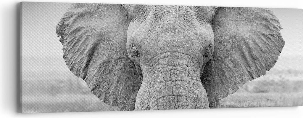 Bild auf Leinwand - Leinwandbild - Einteilig - Elefant Afrika Tier - 90x30cm - Wand Bild - Wanddeko - Wandbilder - Leinwanddruck - Bilder - Wanddek...