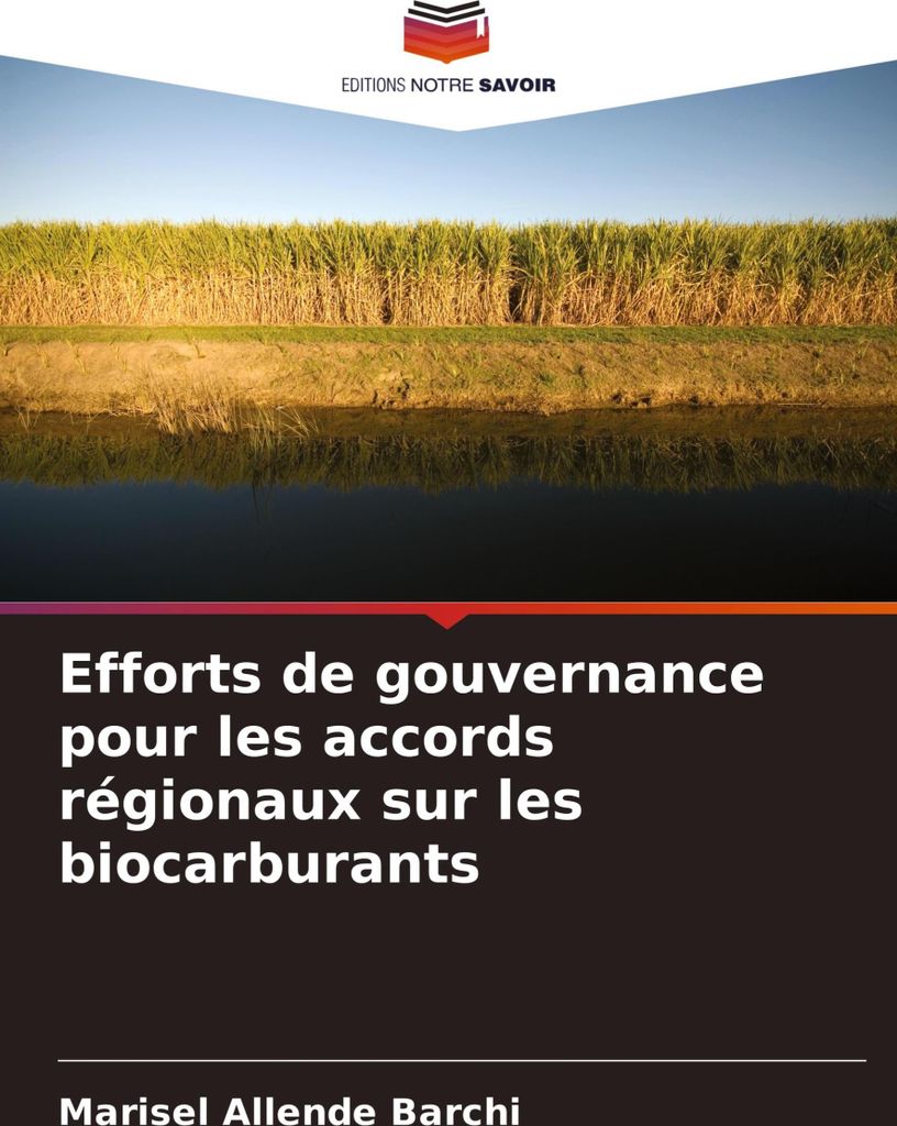 Efforts de gouvernance pour les accords régionaux sur les biocarburants