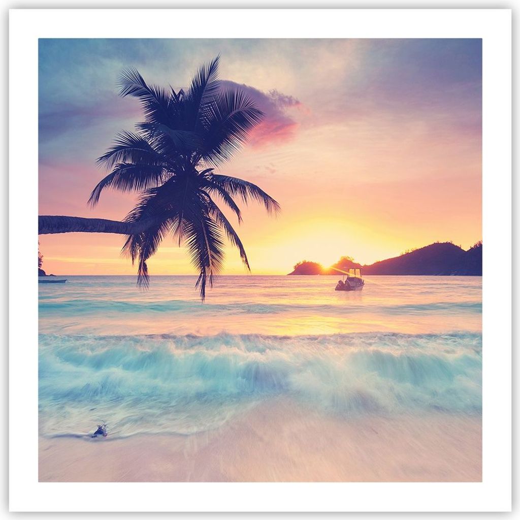 Poster - Poster ohne Rahmen - Meer Strand Palme - 60x60 cm Produktbild 