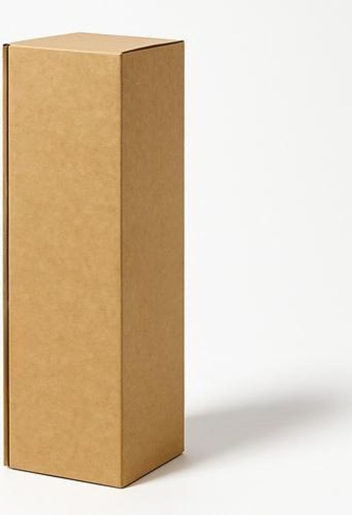 A tall, rectangular cardboard box is shown standing upright against a plain white background.