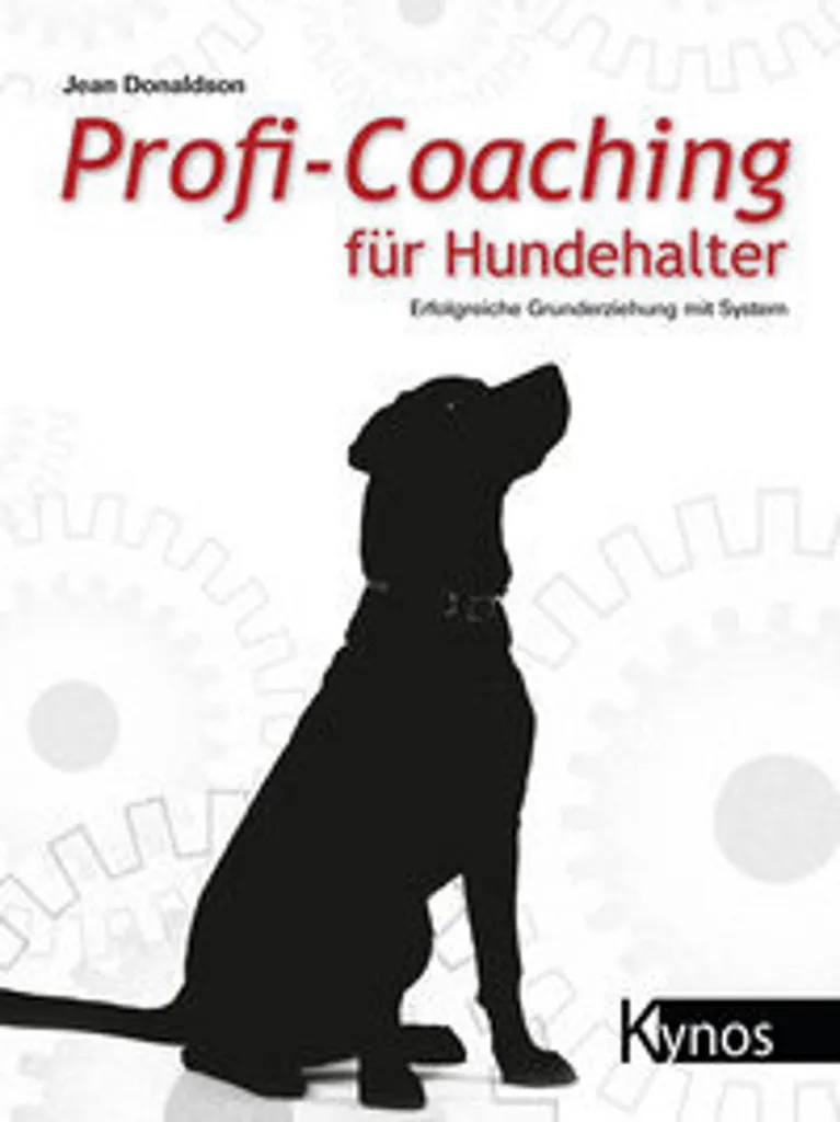 Éduquer son chien au quotidien : coaching pratique pour sorties sereines