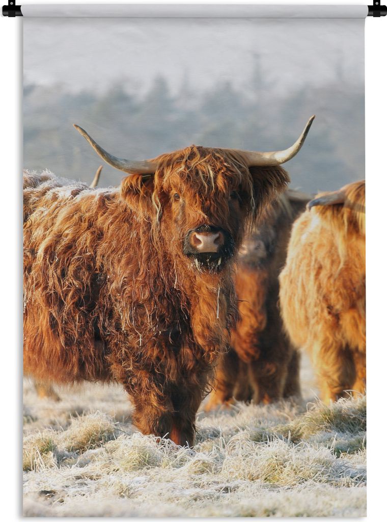 MuchoWow Wandteppich Wandbehang Schottische Highlander - Schnee - Wald 60x90 cm Tapisserie Dekoration Wandtuch - Foto-Teppich - Abwaschbar