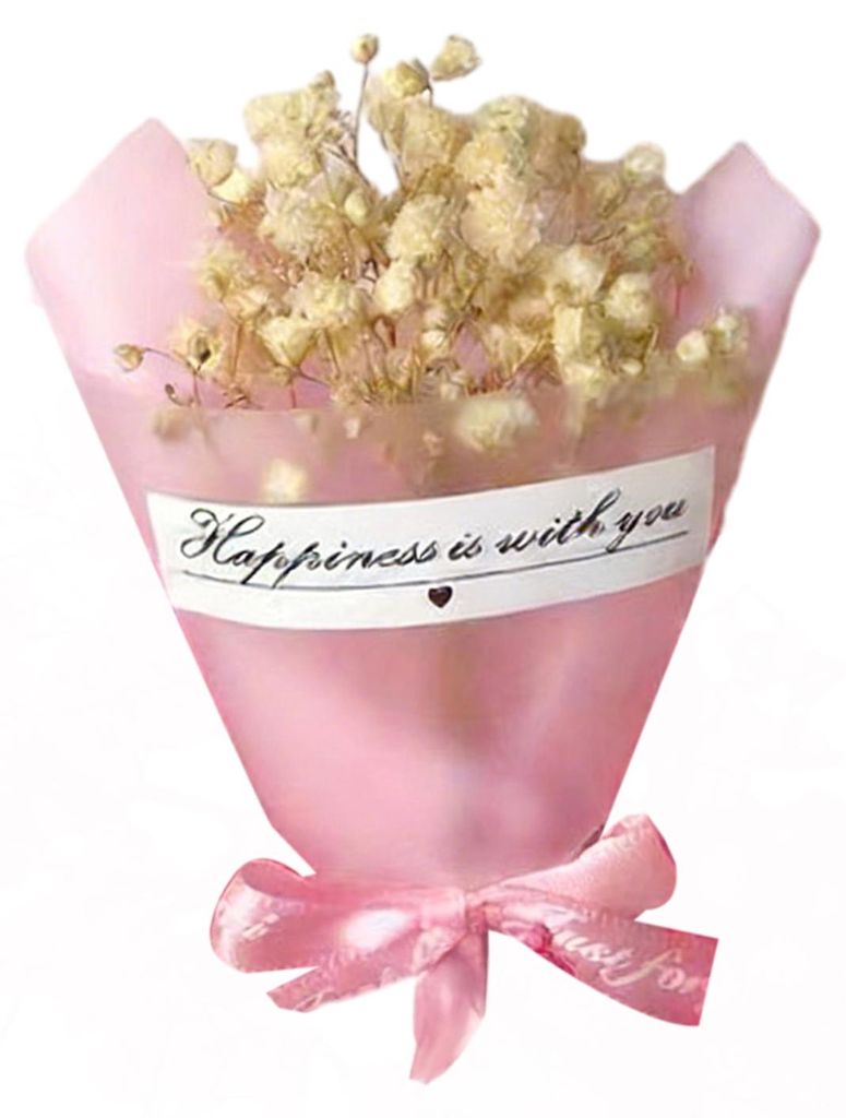 Mini-Trockenblumenstrauß aus natürlichem Schleierkraut (Gypsophila) – ideal für DIY-Bastelarbeiten, Foto-Requisiten, Geschenke, Einladungen un...