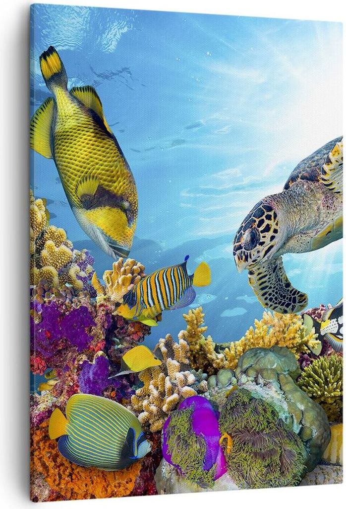 Bild auf Leinwand - Leinwandbild - Einteilig - Riff Koralle Fisch - 50x70cm - Wand Bild - Wanddeko - Wandbilder - Leinwanddruck - Wanddekoration - ...